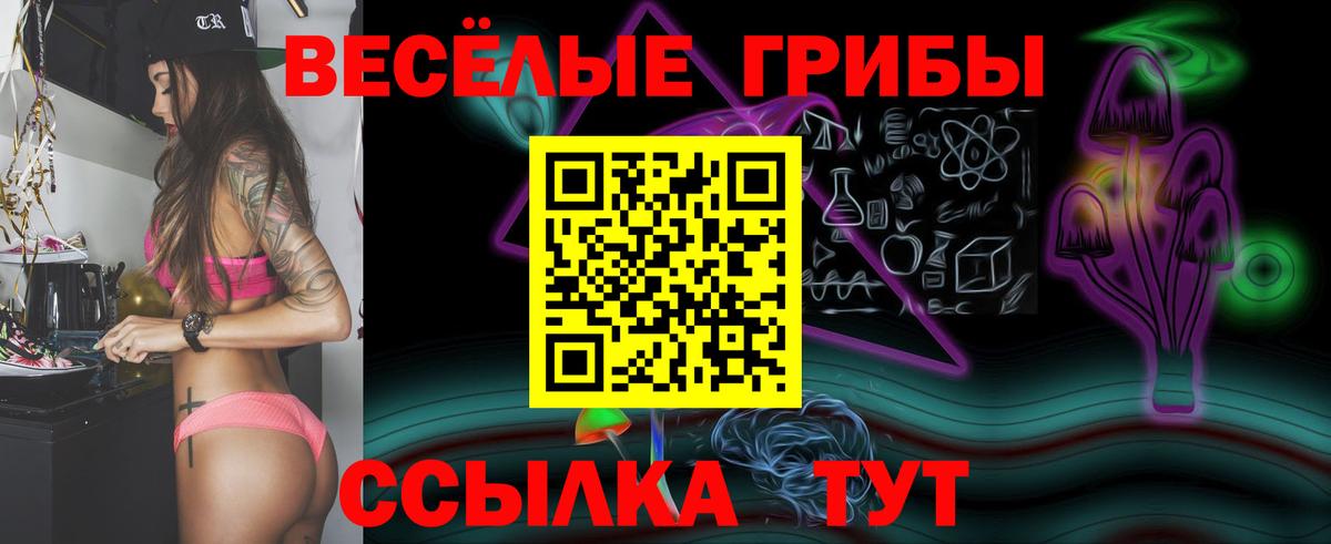Конаково  купить   Вход с VPN  Галлюциногенные грибы Psilocybe 